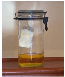 Why does alkyd paint yellow?